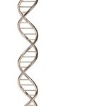Biochemistry Science Kindle eBook by Vintage – 446 Page Guide-0