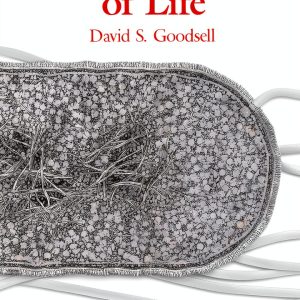 Molecular Biology eBook Copernicus 140‑Page Kindle Edition-0