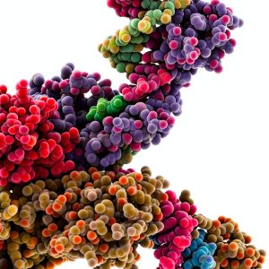 Biochemistry Illustrated Guide University of Chicago Press Kindle-0